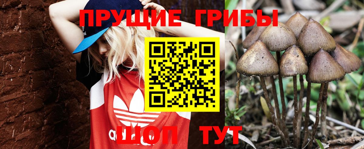 Галлюциногенные грибы прущие грибы  Вход с VPN  Дзержинский  Псилоцибиновые грибы мицелий 